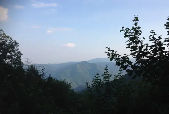 景色