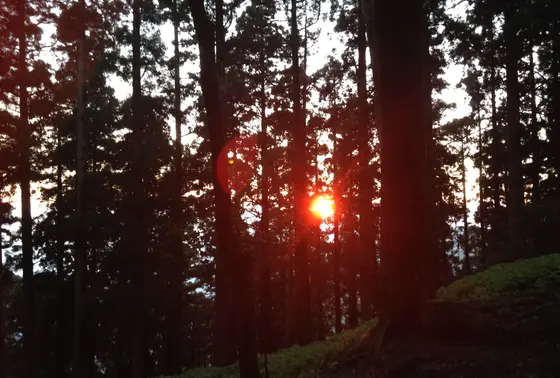 夕陽