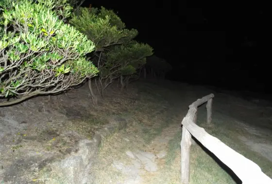 燈明堂跡へ