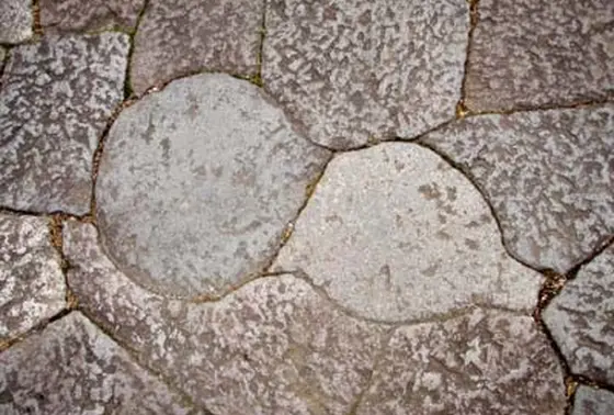 参道