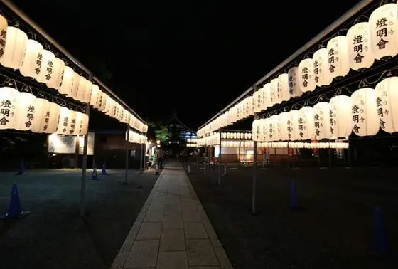 燈明会の灯に照らされた境内は綺麗です。