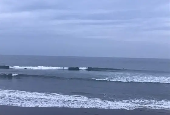 サーフポイント