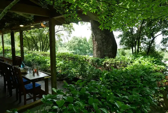 レストランから見える景色