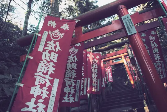 異空間気分を堪能できます
