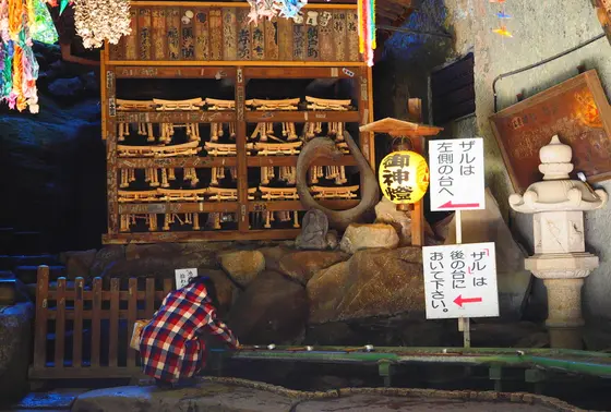 奥宮でお金を洗います