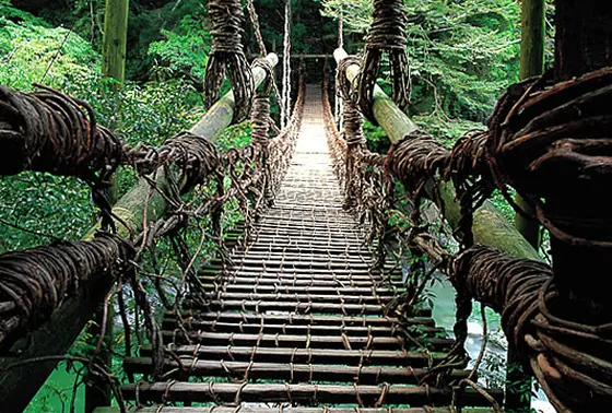 粗野のかずら橋