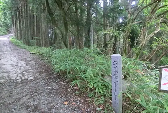 ダイヤモンドトレール