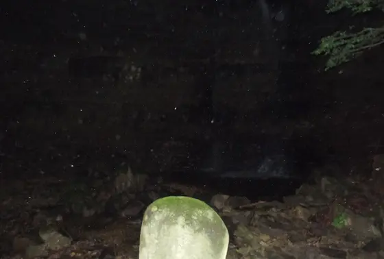 滝