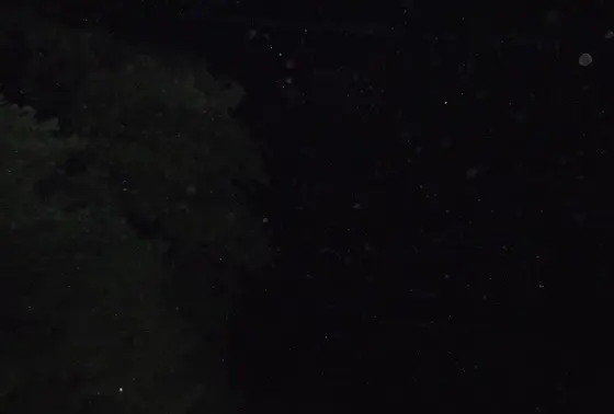 橋の下