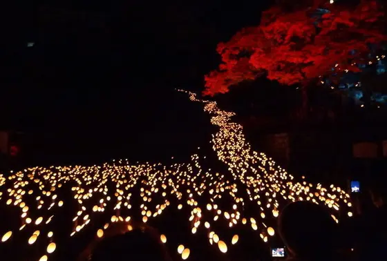 秋には「竹楽」