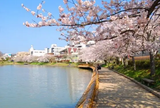 南郷公園