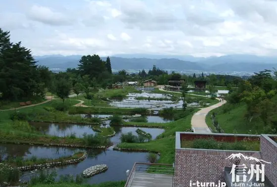 景色のいいところ行きたいな