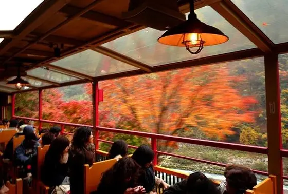 トロッコ列車でも紅葉を！！