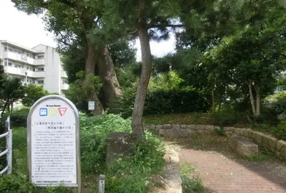 小栗判官の笠かけ松と照手姫の腰かけ石