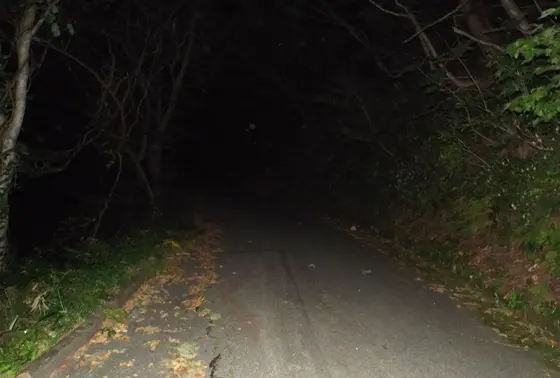 山頂へ