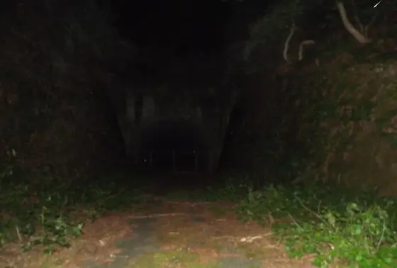 発見