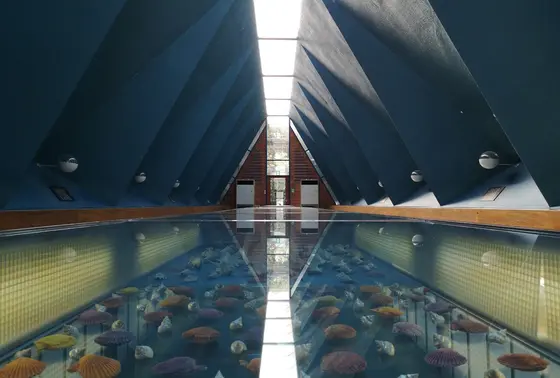 ホール