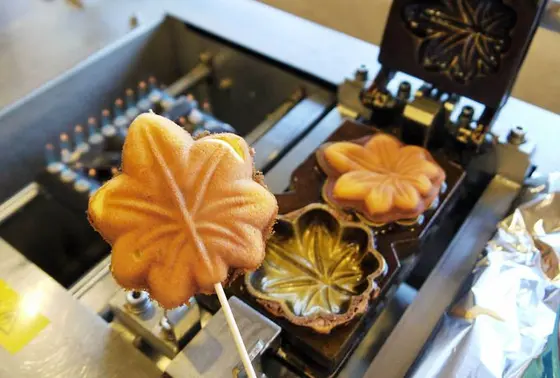 スポット内のおすすめ