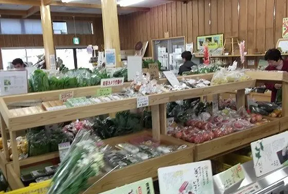 大根1本90円だったのでリュックに差して。