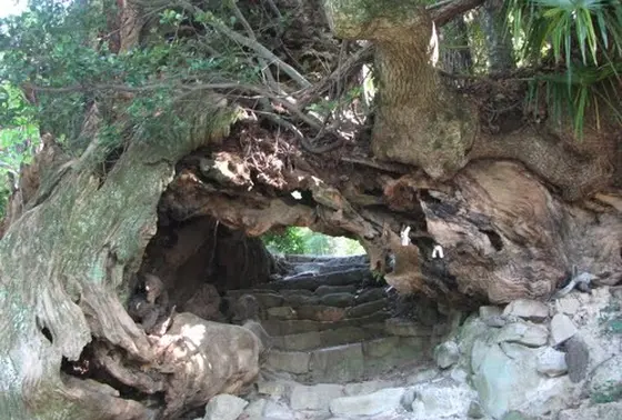 生樹の御門