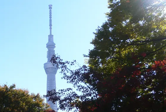 境内からの眺め