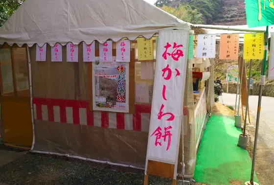 桜かしわ餅