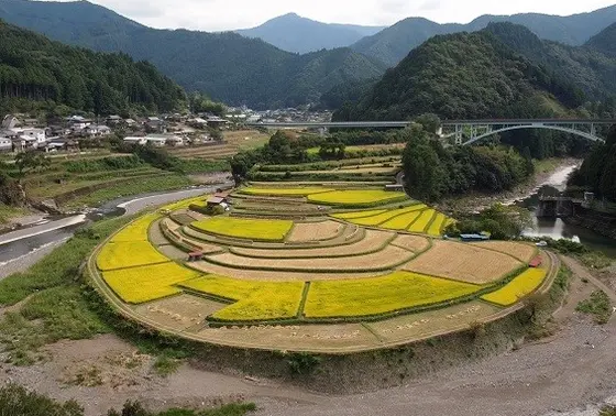 四季折々の風景