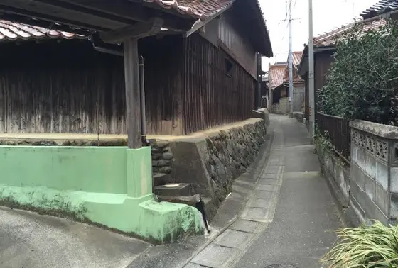 迷路のような路地