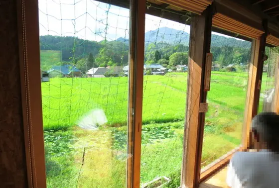 田植えの終わった5月下旬頃〜店内からは棚田を一望できます！