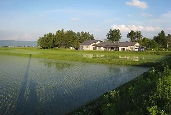 周りは田んぼしかありません