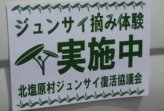 こちらですね♪