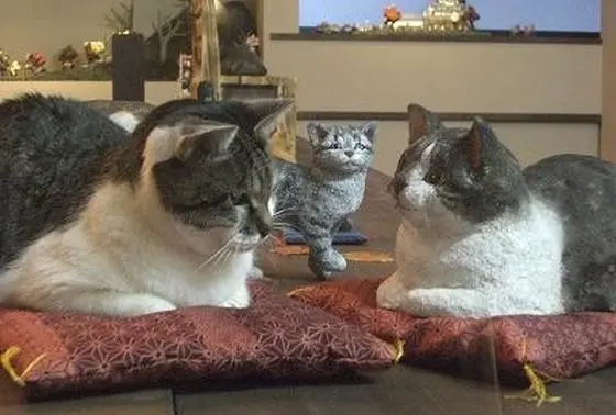このネコ、本物？偽物？