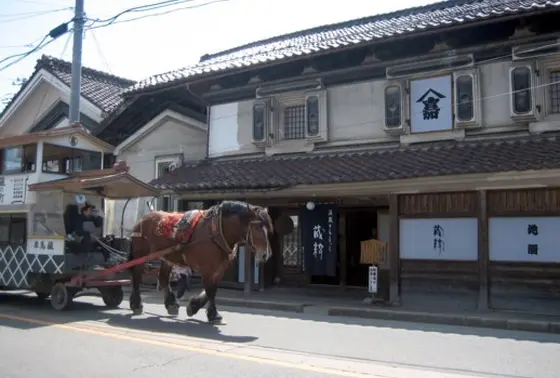 ぎょえ～！目の前に馬車が通り過ぎた！