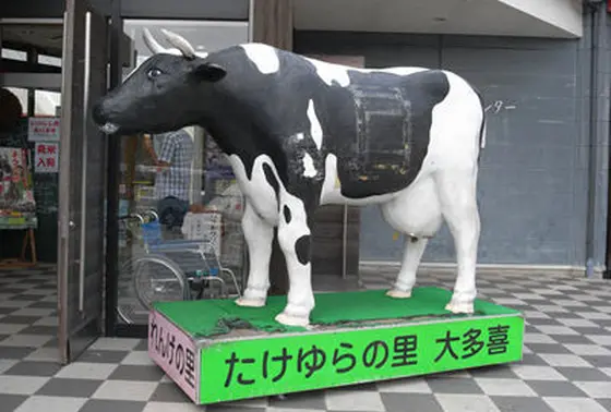 牛がお出迎え