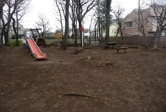 公園内の風景