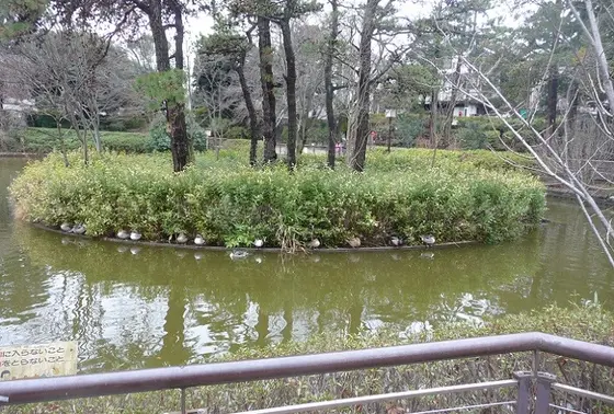妙正寺池