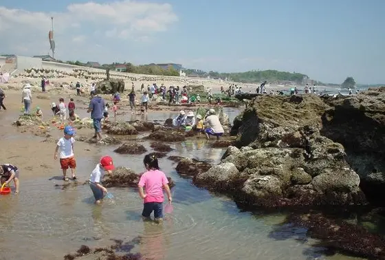 夏の海水浴
