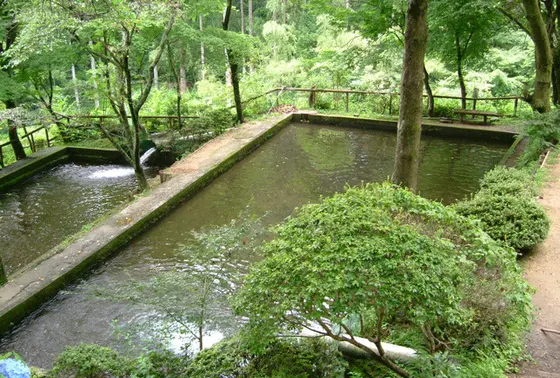釣り堀