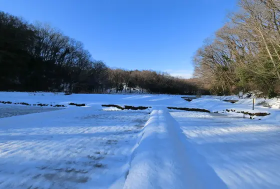 雪原をあるく