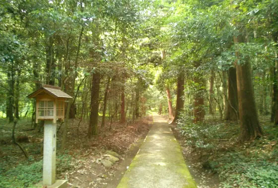 雰囲気のある裏道があります。