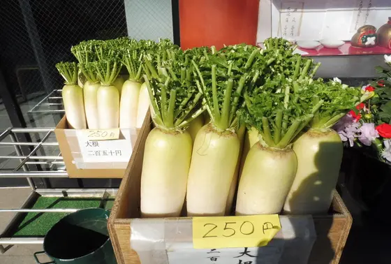 お供えの大根はここで…！