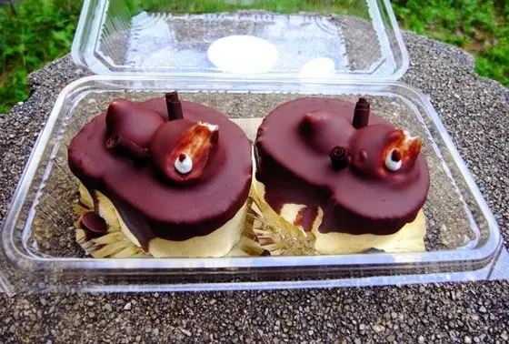 たぬきちくん☆