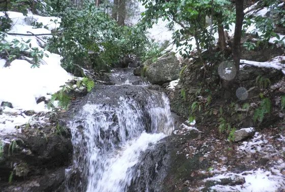 琵琶滝