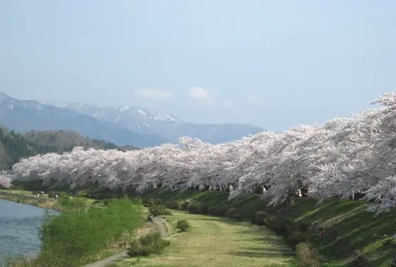 土手沿いを散策