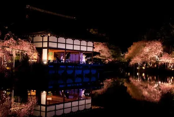 期間限定の夜桜公開とライブが素敵。
