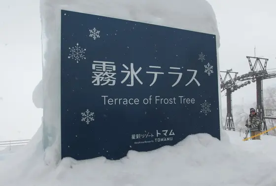 霧氷テラス