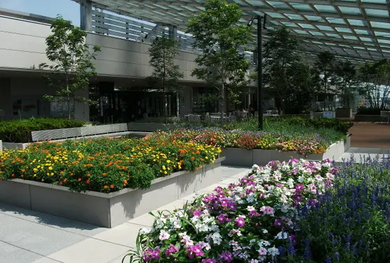 コルティの屋上庭園