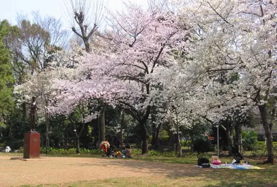 お花見