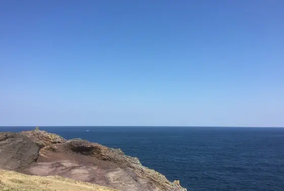 日本海を一望する景色は雄大