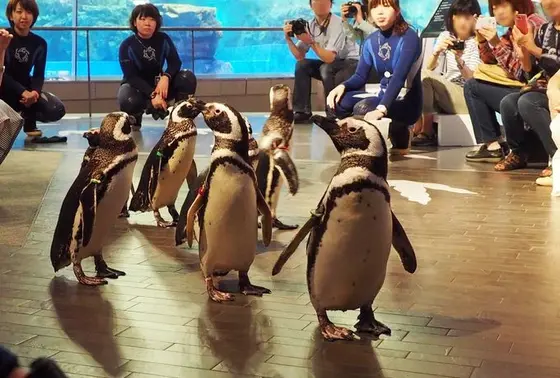 いい感じ